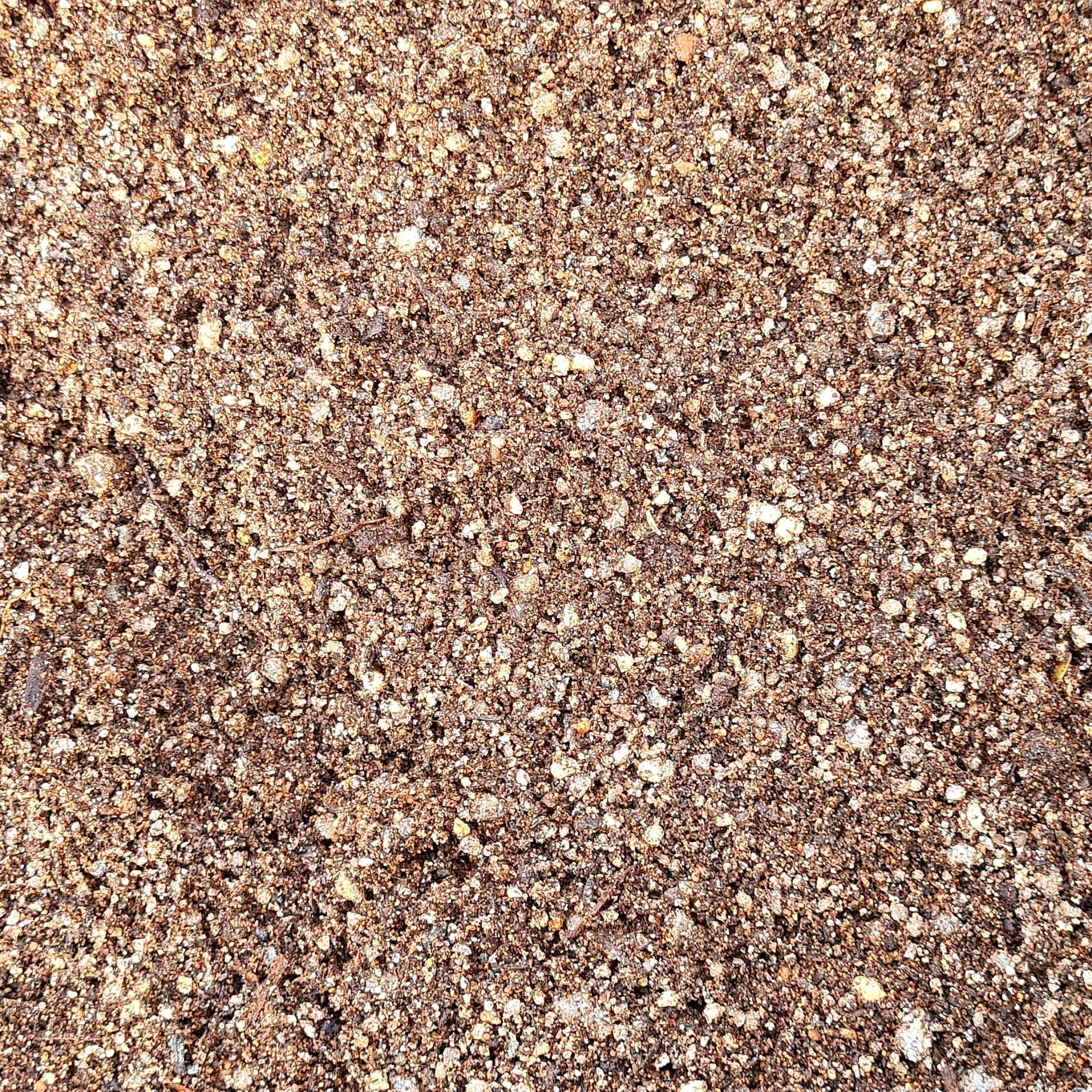 Succulent & Cactus compost – Coastal Succulents, Cacti & Alpines